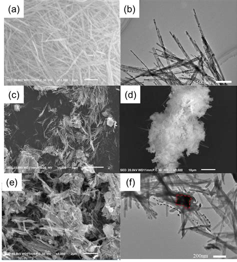 Three-Dimensional Structure of PANI/CdS NRs-SiO2 Hydrogel for ...