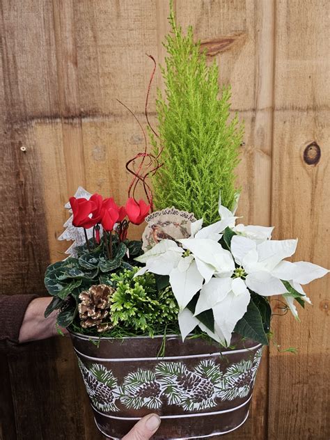 Woodland Wonder Workshop - Griffins Greenhouses