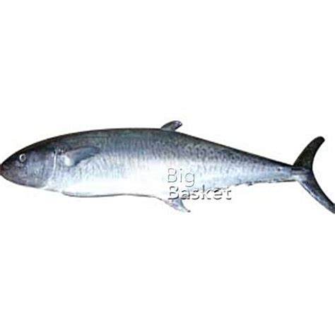 Buy Fresho King Fish (Medium) - Boneless 500gm Online at Best Price. of ...