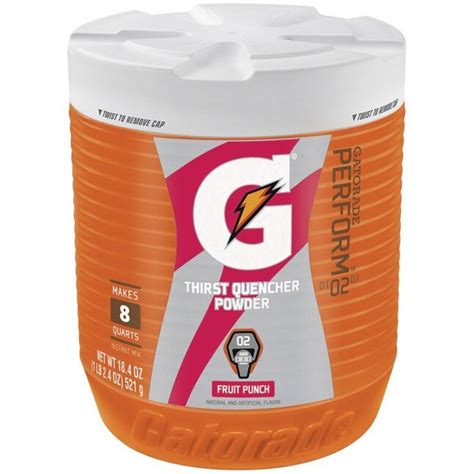 Gatorade 18-3/8-fl oz Fruit Punch Sports Drink at Lowes.com
