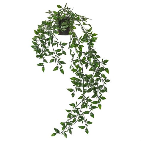 Buy PAPERI Artificial Vine Plants with Pot|Natural Look & Plastic ...