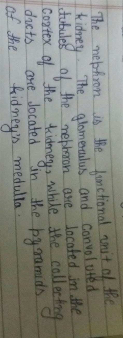 what are basic unit of kidney explain - Brainly.in