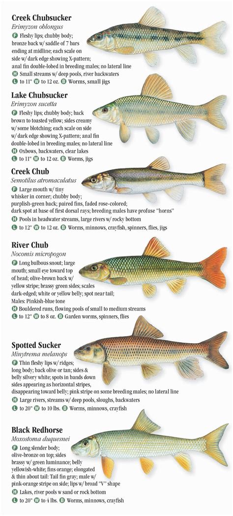 Types Of Fish In Reservoir at Todd Bushman blog