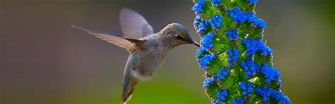 Adhikari Engineering Pvt.Ltd.