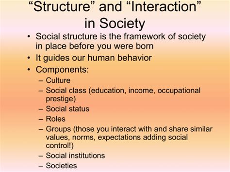 Social Structures Examples 的图像结果