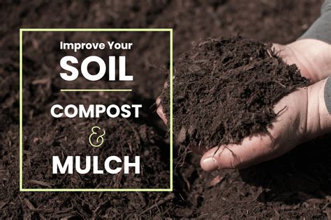 Compost/Soil 的图像结果
