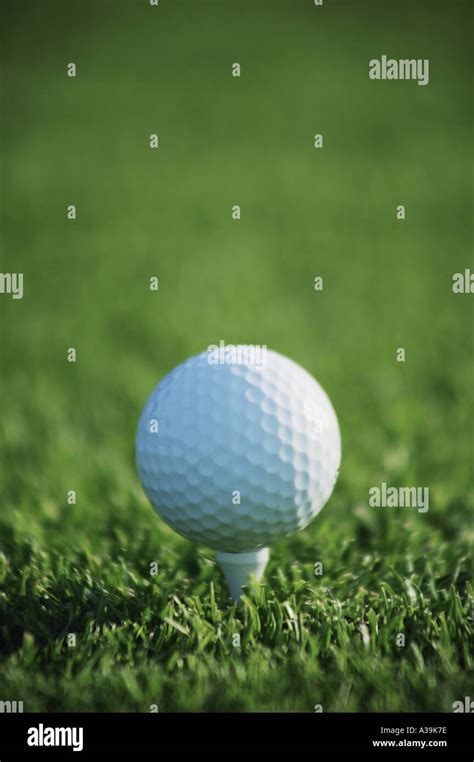 Golf Ball and Tee 的图像结果