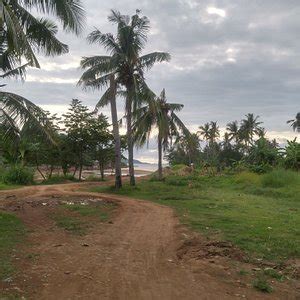 IYUSAN RICE TERRACES (2025) All You Need to Know BEFORE You Go (with ...