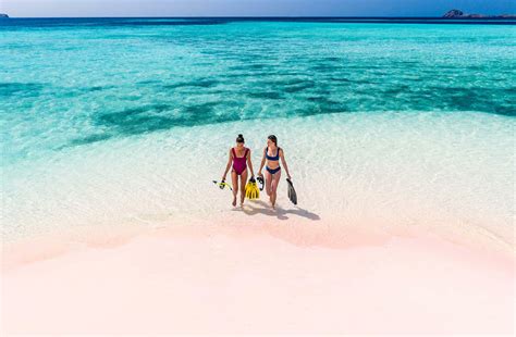 Discovering KOMODO ISLAND | New Idea - lifestyle - Read this story on ...