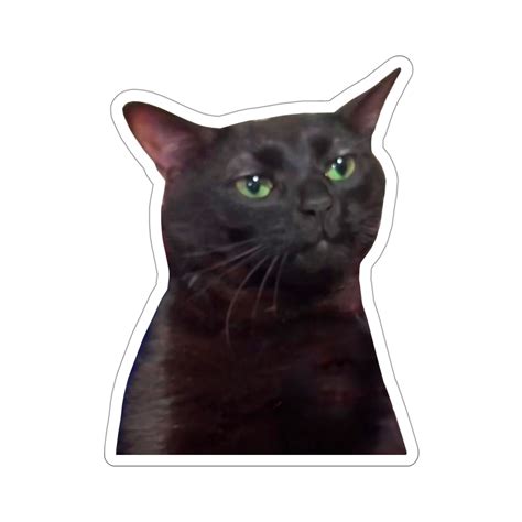 Zoning Out Black Cat Meme, Zoning Out Black Cat Sticker, Black Cat Meme, Black Cat Zoning Out ...