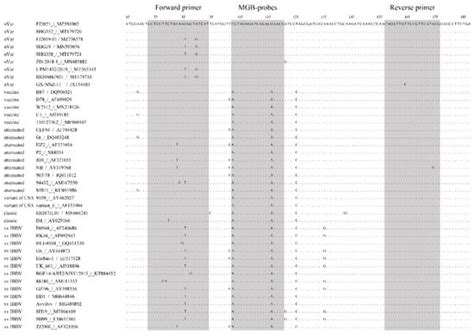 Development of a One-Step Real-Time TaqMan Reverse Transcription ...