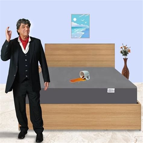 Trance Home Linen 220 GSM+ 78"x60"x6" Premium Cotton Waterproof ...