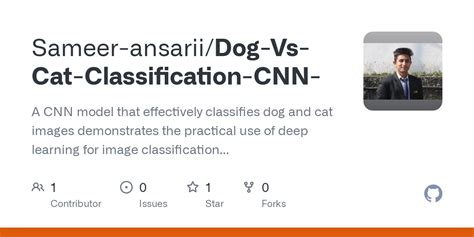 Classification Model Example 的图像结果