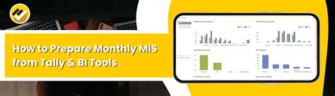 How to Prepare Monthly MIS from Tally & BI Tools