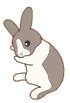 Image result for Cute Brown Baby Bunnies