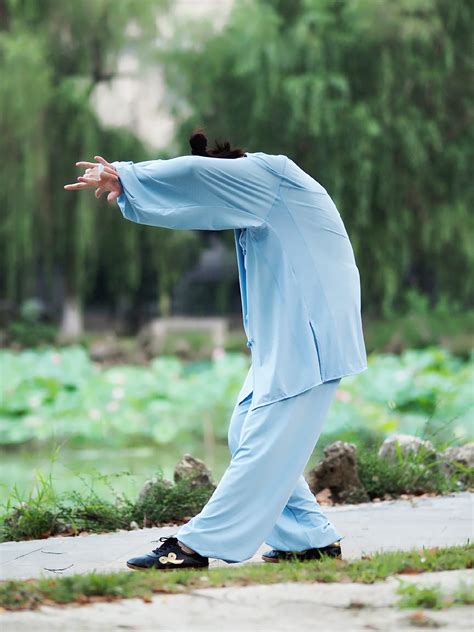 Qigong Therapy: The Ultimate Guide to Medical Qigong & Self-Healing