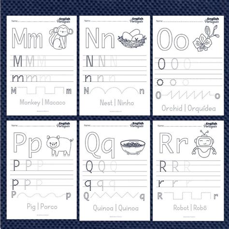 Image result for Tkinter Python Designs