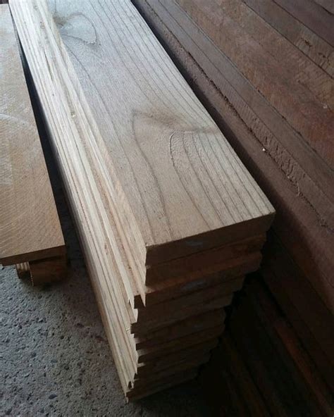 Image result for Sungkai Tree West Java