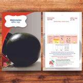 Buy Watermelon Black Seeds Online – Bombay Seeds