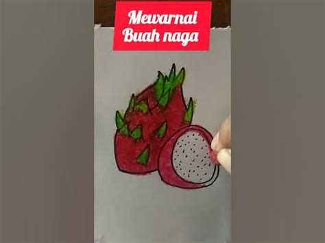 Image result for Tutorial User App
