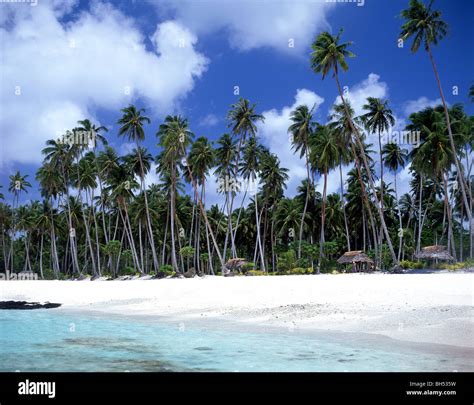 'Return to Paradise' Lefaga Beach, Upolu Island, Samoa Stock Photo - Alamy