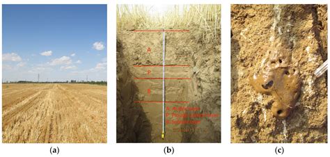 Using Different Extraction Methods to Estimate Soil Salinity and Salt ...