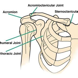 Image result for Compensatory Movement Examples