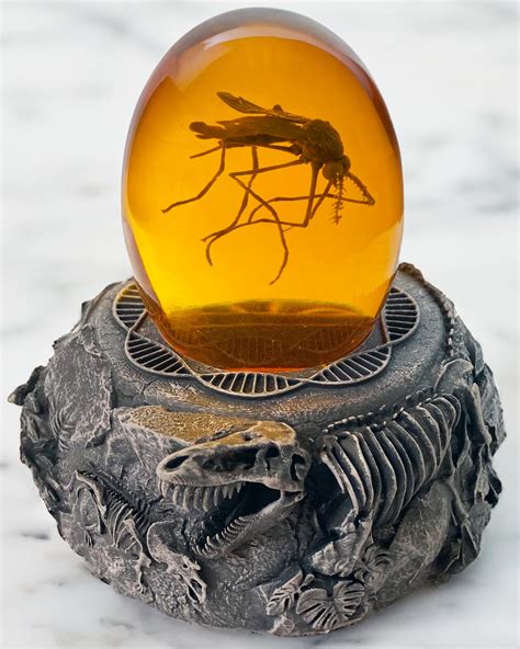 Amazon.com: VEOJEIN Mosquito in Amber and Jurassic Base | Dinosaur ...