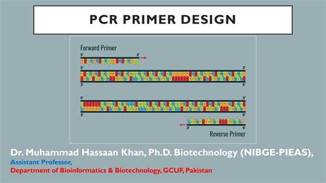 Image result for Primer Design Example