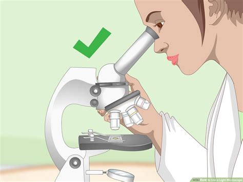 Image result for Using a Microscope