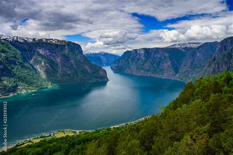 Nature View 的图像结果