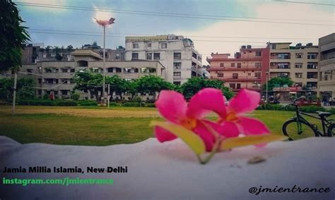 Jamia Millia Islamia Previous Year Entrance Question Paper PDF Download ...