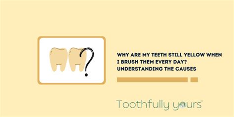 Why Are My Teeth Still Yellow When I Brush Them Every Day ...
