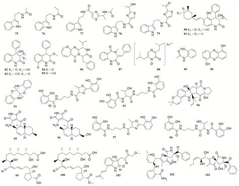 Exploring Diverse Bioactive Secondary Metabolites from Marine ...