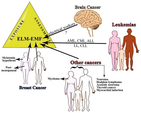 Magnetic Fields and Cancer: Epidemiology, Cellular Biology, and ...