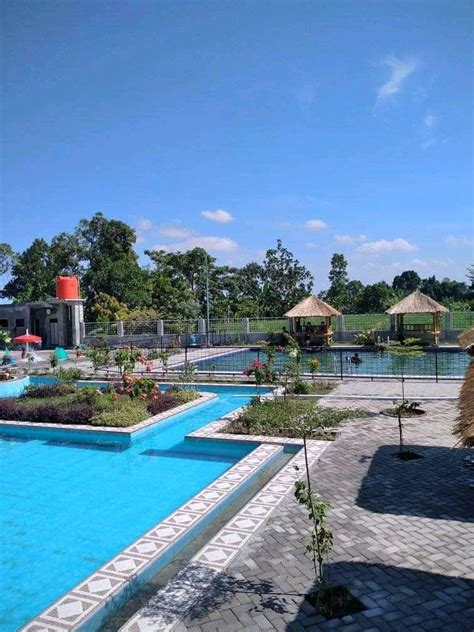 Taman Safari: Petualangan Seru Mendekat dengan Satwa Liar