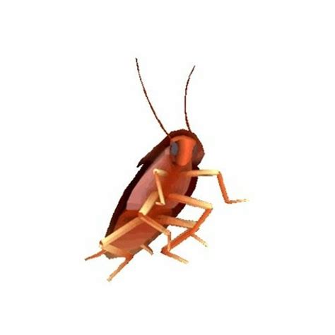 Cockroach Dance Meme 的图像结果