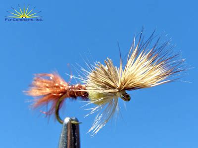 Image result for PMD Fly Pattern