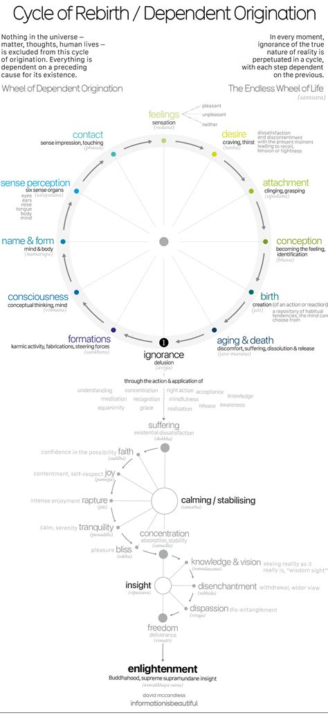 Buddhism Rebirth Cycle