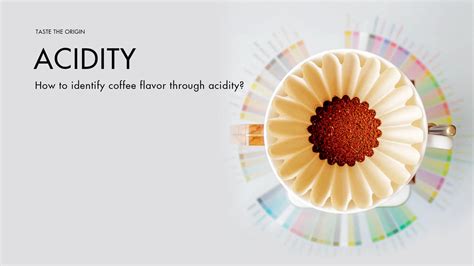 Discover the acidity of coffee - How to identify coffee flavor through ...
