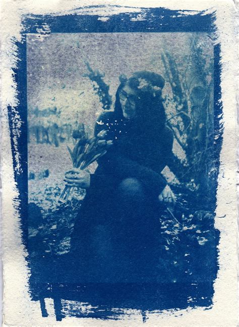 Nature Slideshow 的图像结果