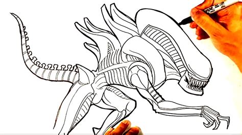 Xenomorph Drawing Tutorial 的图像结果