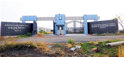 College of Veterinary Science, Proddatur | పశువైద్య కళాశాల, ప్రొద్దుటూరు