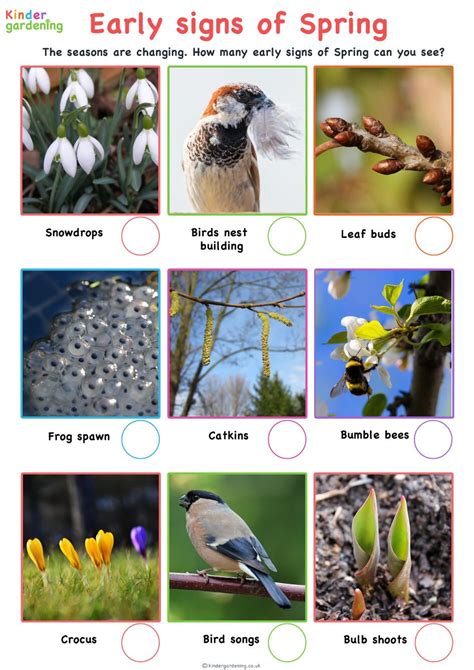 Signs of Spring EYFS 的图像结果