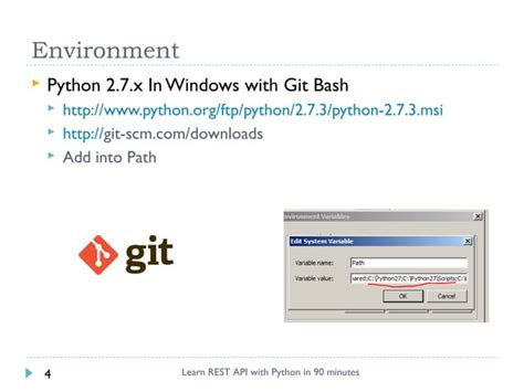 Python and Rest APIs 的图像结果