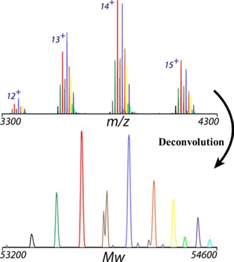 Intact Protein Deconvolution Chromeleon 的图像结果