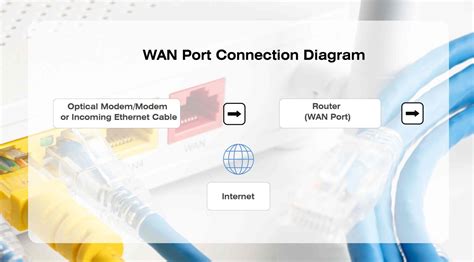WAN Port vs LAN Port: Key Differences and Functions Explained