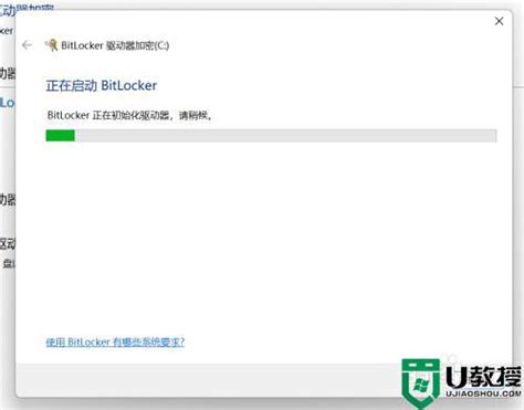 Windows11 Bitlocker 的图像结果