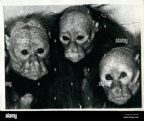 Resemblance Is Uncanny