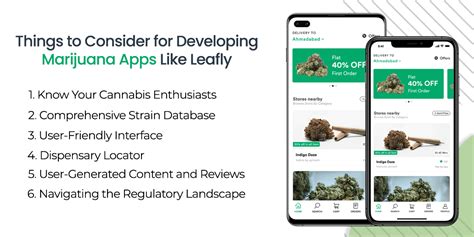 Top Marijuana Delivery Apps Like Leafly To Use in 2025